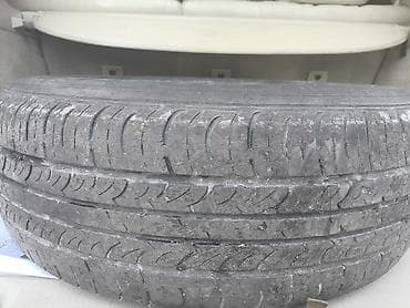 passat disk: Təkər 195.65.15 — 3