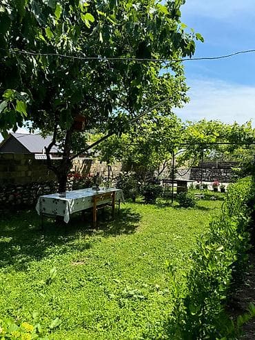 garden: 🏡 Salam,Qəbələdə yerləşən rahat və geniş evimizi günlük kirayə — 5
