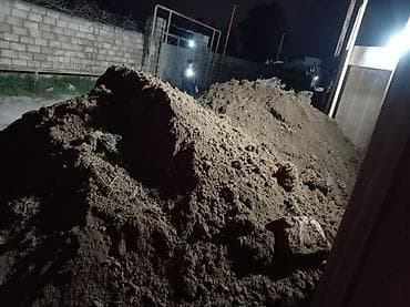 ailə agacı: Məhsul: Qara torpaq (bağ və landşaft işləri üçün)İsmayıl şamaxi — 5