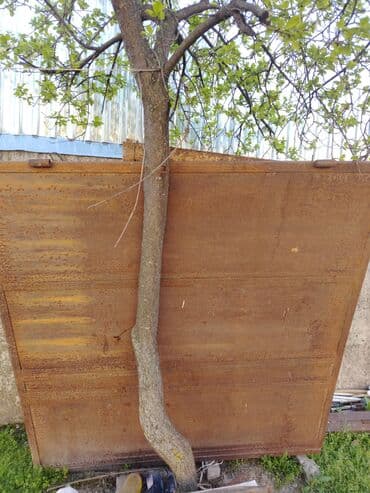 qaşıq qabı: Новый Входная дверь Самовывоз — 4