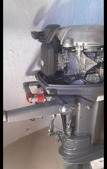 gəmi kəndiri: Mercury 25, 1.1 l, Benzin, 2019 il, Orijinal, Rusiya, İşlənmiş — 7