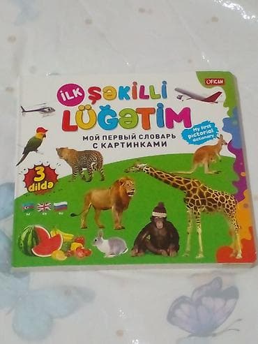Məhsul: “İlk Şəkilli Lüğətim” – uşaqlar üçün illüstrasiyalı çoxdilli