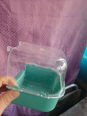 xarı bülbül ikonası: Qefes ve 3 papuqay satilir,1 i baladi 2 ayli.Usdunde yuvasi ve cimme — 4