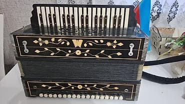 10 cent nece manatdir: Akustik Akkordeon — 2