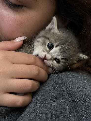 pişim: Yaxşı əllərə — 1