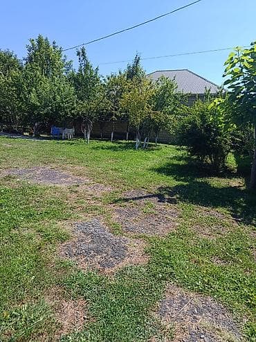 daş vallar: Qəbələ rayonunda həyət evi - Geniş, daş hasarlı həyət: yaşıllıq — 1