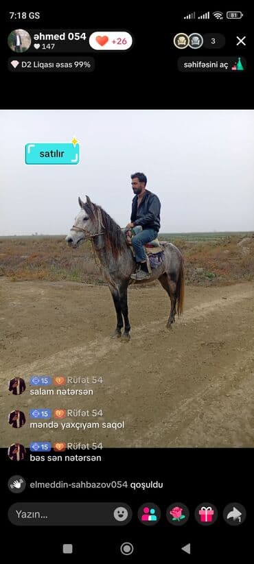 2 bir gerdə 1900 verən olsa verərəm - Növ: min - Rəng: boz-kürən