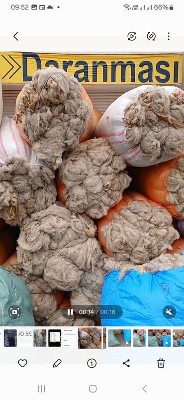 agdag astar qiymeti: QOYUN YUNU SATILIR Şamaxı yunu — 6