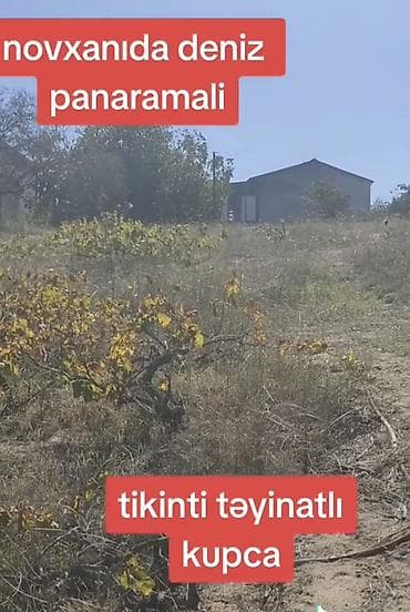 12 sot, Mülkiyyətçi, Kupça (Çıxarış) — 5