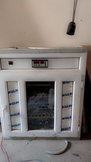 Bütün növ quşlaq üçün lalafo.az -da Bütün növ quşlaq üçün