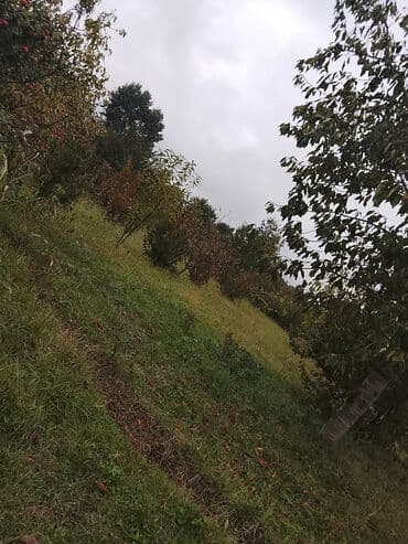 куплю дом в баку: 6 соток — 1