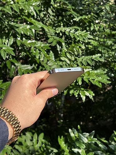 iphone 8s plus: IPhone 13 Pro, 128 GB, Qızılı, Face ID, Simsiz şarj, Zəmanət — 6