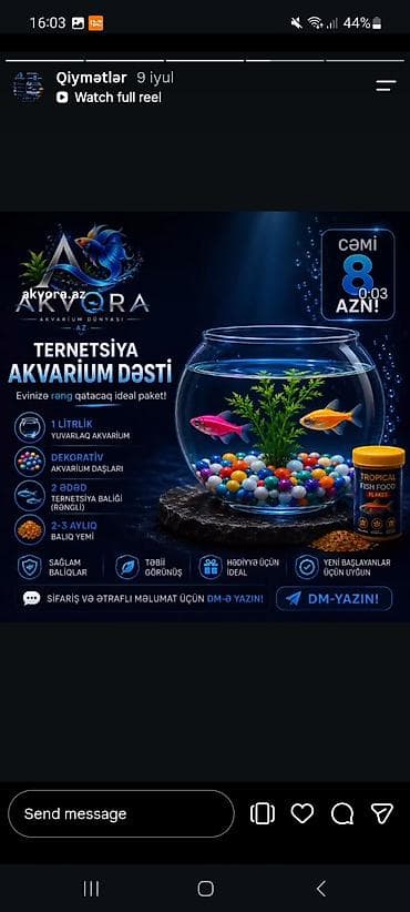 Yumru akvarium, Balıqlarla birlikdə, 1 l lalafo.az -da Yumru akvarium, Balıqlarla birlikdə, 1 l