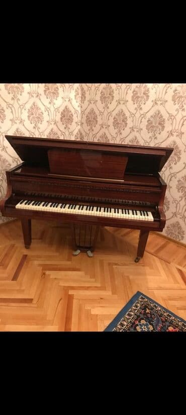 rönisch piano: Пианино, Rönisch, Акустический — 7