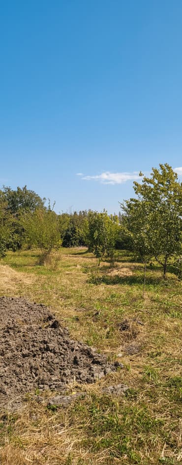 cəlilabadda torpaq sahəsi satılır: Kənd təsərrüfatı, Barter mümkündür — 1