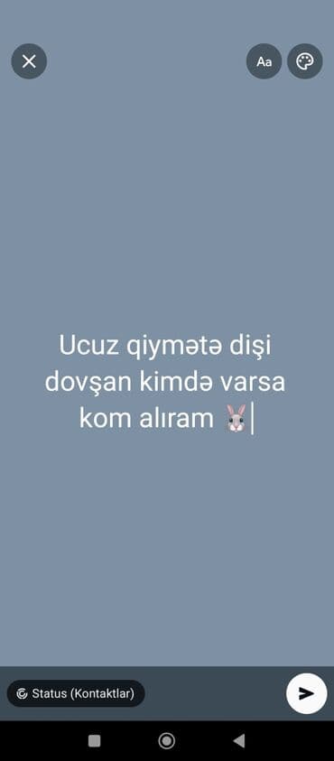 dovşan evi: Axtarış: Ucuz qiymətə dişi dovşan Təsvir: - Dişi dovşan alınır - Ucuz — 1