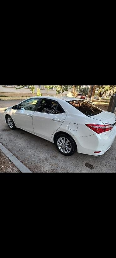 muravey satiwi: Toyota Corolla GLi sedan – ağ rəng. Texniki xüsusiycox yətlər və — 5