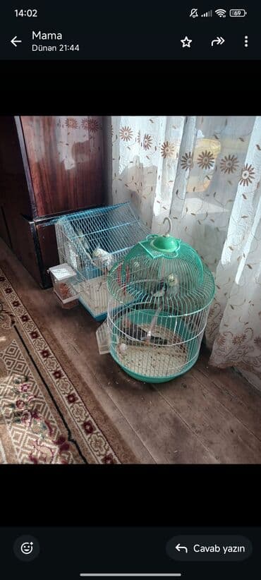 heyvanlara verilen adlar: 2 cütü 70 azn ünvan salayan rayonu yeni ulxanlı kəndi yuva qarşıq — 4