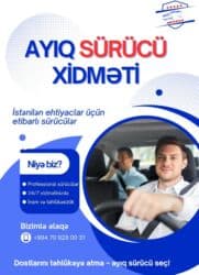 Сфера образования: Личный водитель требуется, Гибкий график, Любой возраст, Сдельная оплата — 3