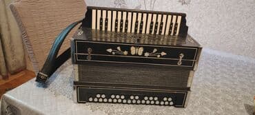 Digər musiqi alətləri: Akustik Akkordeon — 2