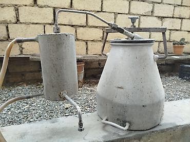 bıcaq itiliyən: Gulab nane çəkən — 1