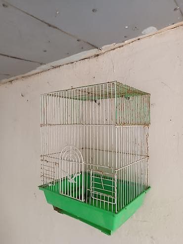 Quş qəfəsi - Material: metal çubuqlardan korpus, möhkəm plastik