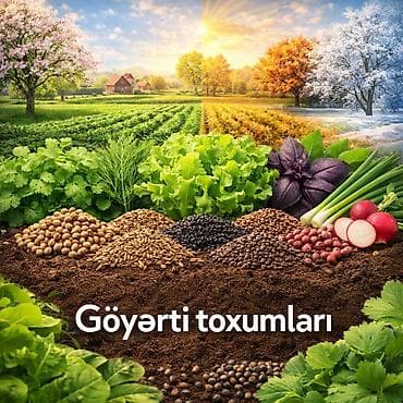 meyvə ağaclarının satışı: Təbiətə qayıdış 🌱 Göyərti toxumlarının satışı 🎁 — 1