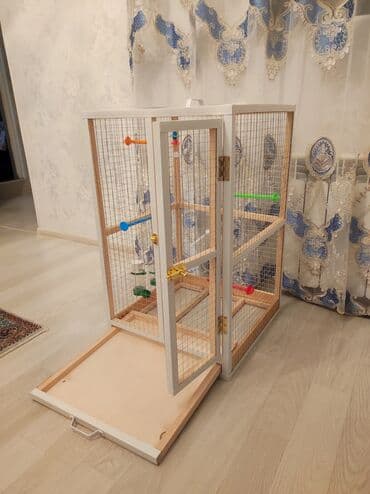 ag dovsan: Papuqay,dovşan,hamster,şinşila,bildirçin,cücə,xamyak,pişik,quş,tısbağa — 1