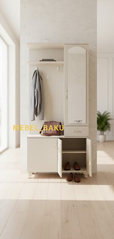 qapı bəzəyi: Yeni, Açılan, 1 qapı Düz dolab, Dəhliz dolabı, Rusiya — 1