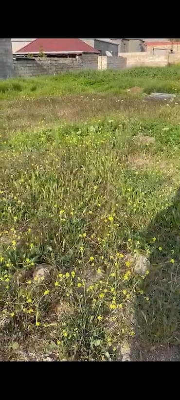 berdede torpaq satilir: Tikinti — 2