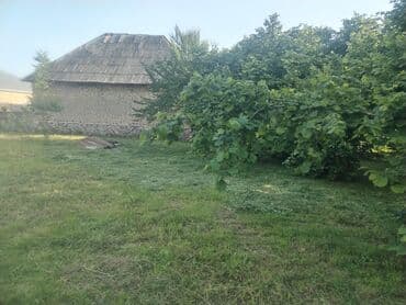 sulutepede torpaq: 8 sot, Tikinti, Maklerlər narahat etməsin, Kupça (Çıxarış), Texniki pasport — 6