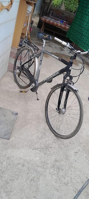 velesobed: Pegasus Premio (Alu) şəhər/trek velosipedi - Yüngül alüminium gövdə - — 2