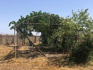 Daşınmaz əmlak: Bakı, 250 kv. m, 8 otaq, Hovuzsuz, Qaz, İşıq, Su — 5