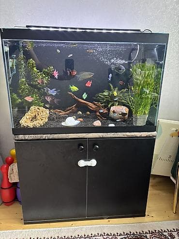 akvarium 90x40x50: Akvarium-şkaf, Balıqlarla birlikdə, 126 l — 2