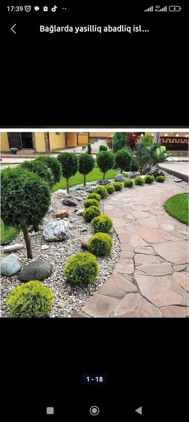 ot toxumu satışı: Qazon çatrlma qurasdrma torf gubresi dermanlanmasi agaclarin ekini — 18