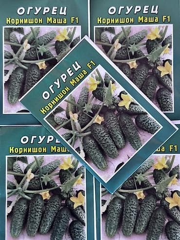 salat: Toxum dəsti – pomidor və xiyar sortları Məhsulun tərkibi (poliqrafik — 2