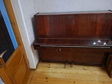 saz simi: Piano, Belarus, Akustik, İşlənmiş — 4
