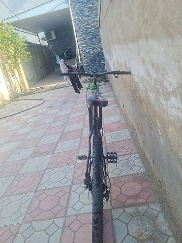 anmier velosiped: 29-luğ velosiber 7 və 3 lük skoruslar dişli pedallar.Heç bir problemi — 3