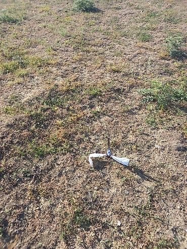 Torpaq sahələrinin satışı: 14 sot, Kənd təsərrüfatı, Bələdiyyə — 1