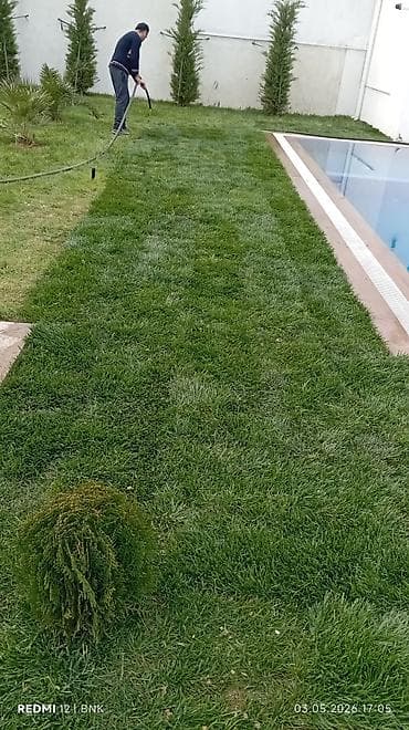 qapi ve pencere: Landşaft abadlaşdırma və bağ işləri xidməti - Hovuz və həyət — 10