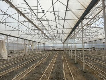 karkaz: Istixana sökülüb satılır materyal kimi metalom deyil — 4