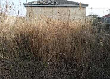 sabuncu ev: 3 otaqlı, 69 kv. m — 4