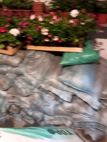 саженцы малины тарус: Qazon landşaft #qazon #torf #torf250litrlik Ekolayf #ekolayf balaken — 23