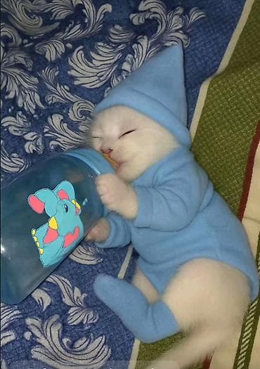 british: Britan, Yaxşı əllərə — 1