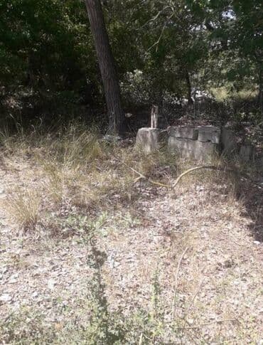 digah torpaq: 25 sot, Kənd təsərrüfatı, Makler, Kupça (Çıxarış) — 6