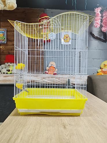 Quş qəfəsi – iri ölçülü, dekorativ dalğalı damlı model - Material: ağ