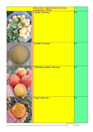 Çöl bitkiləri: Meyvə və dekorativ ağac tingləri Təsvir: - Tərtər rayonu ərazisində — 10