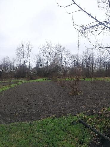 binə savxozda torpaq: Kənd təsərrüfatı — 1