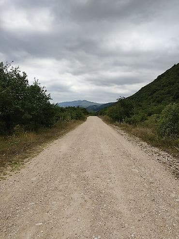 qusar rayonu: 100 sot Biznes üçün — 2