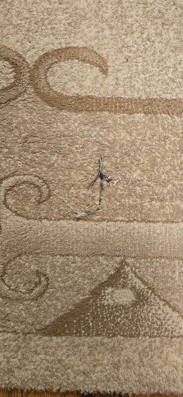 Otaq bitkiləri: Xalça Dekorativ, Kredit yoxdur — 5